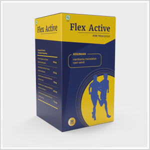 Flex Active